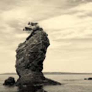 Meet your Posher, Rick